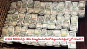 భారత బిలియనీర్లు తమ డబ్బును ఎందులో పెట్టుబడి పెడ్తున్నారో తెలుసా?