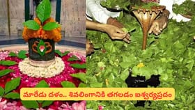 సోమవారం మారేడు ఆకులతో ఇలా చేస్తే.. అదృష్టం వెంటపడటం ఖాయం!