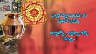 సింహ రాశి ఫలితాలు.. మే నెలలో వీరి జీవితంలో ఊహించని మలుపు!