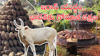 8th Pay Commission: ఉద్యోగులు, పెన్షనర్లకు బిగ్‌ అలర్ట్‌! జీతాలు, పెన్షన్లపై కీలక సమావేశం