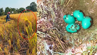 Viral Video: సింగర్‌పై నోట్ల వర్షం.. ఏకంగా డబ్బుల సంచులే కుమ్మరించిన భక్తులు! వైరల్ అవుతున్న వీడియో