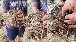 Andhra Pradesh: ప్రాణాల మీదకు తెచ్చిన పునుగులు.. ఆస్పత్రిలో 11మంది.. అసలేం జరిగిందంటే..?