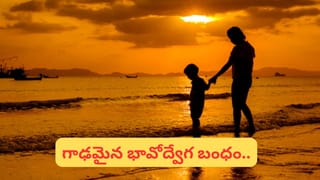 అడవికి సింహం రాజైతే.. ఇది ఆకాశానికి రారాజు.. క్షణాల్లో శత్రువు ప్రాణాల్లో గాల్లోనే..