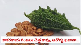 కాకరకాయ గింజలు చెత్త బుట్టలో వేస్తున్నారా?.. వారిక ఆరోగ్య ఖజానా..