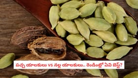 పచ్చ యాలకులు vs నల్ల యాలకులు.. రెండింట్లో ఏవి బెస్ట్?