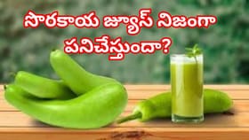 పొట్ట కొవ్వును కరిగించడంలో సొరకాయ జ్యూస్ నిజంగా పనిచేస్తుందా?