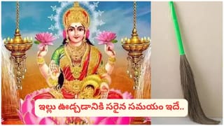 తులసి కోట పక్కన ఆ చెట్టు ఉంటే ప్రమాదకరం.. తొలగించకపోతే పెద్ద వృక్షంతో యముడు అయ్యి కూర్చొంటుంది