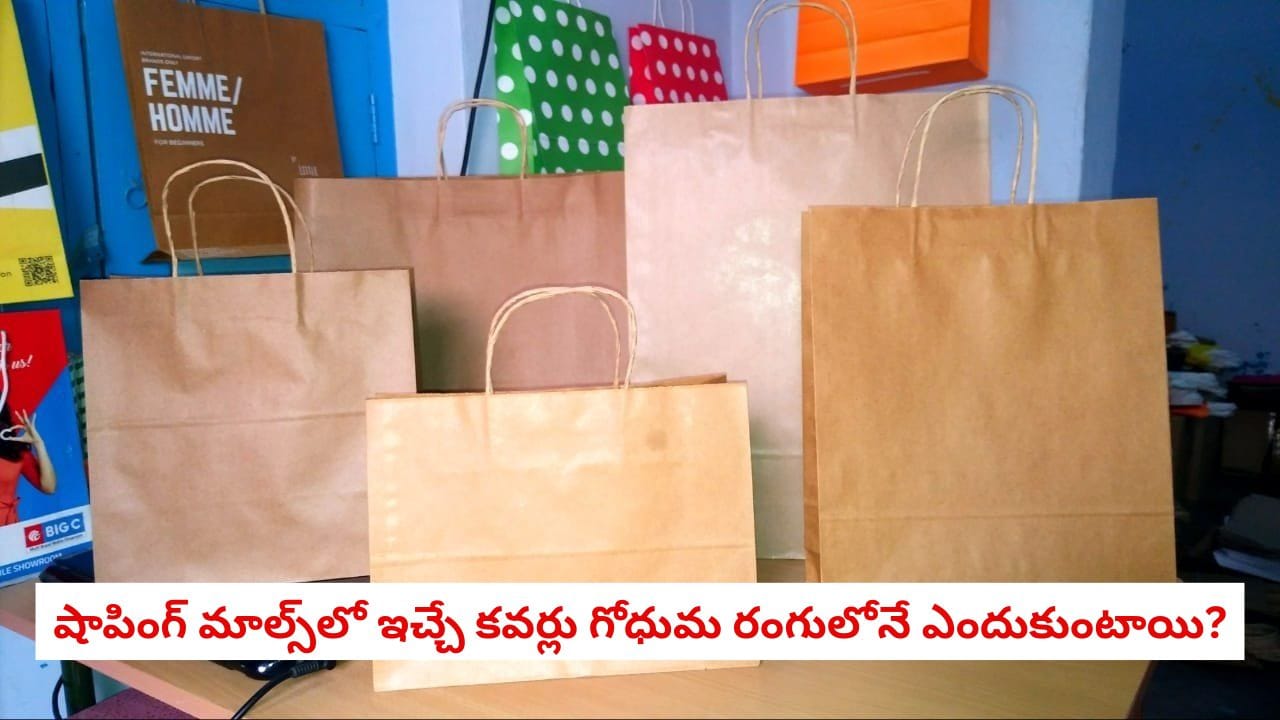 Brown Paper Bag: షాపింగ్ మాల్స్ లో ఇచ్చే కవర్లు గోధుమ రంగులోనే ఎందుకుంటాయి, దీని వెనుక ఉన్న అసలు కారణం ఏమిటి?