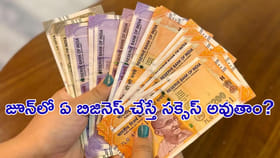 జూన్‌లో ఏ బిజినెస్‌ చేస్తే సక్సెస్‌ అవుతాం?
