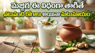 మూగజీవాల దాహం తీర్చడమే ధ్యేయం.. 75 ఏళ్ల వృద్ధుడి సేవకు సెల్యూట్!