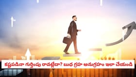 కష్టపడినా గుర్తింపు రావట్లేదా? బుధ గ్రహ అనుగ్రహం ఇలా చేయండి
