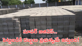 సూపర్‌ బిజినెస్‌.. పెట్టుబడికి డబ్బులు ప్రభుత్వమే ఇస్తుంది!