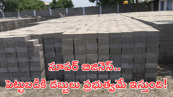 Business Idea: సూపర్ బిజినెస్.. పెట్టుబడికి డబ్బులు ప్రభుత్వమే ఇస్తుంది! పైగా భారీ ఆదాయం..
