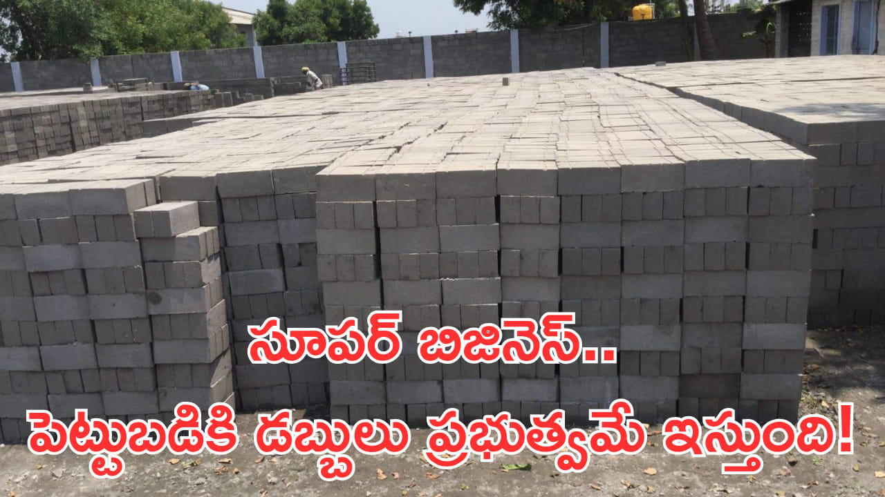Business Idea: సూపర్ బిజినెస్.. పెట్టుబడికి డబ్బులు ప్రభుత్వమే ఇస్తుంది! పైగా భారీ ఆదాయం..
