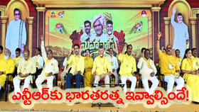 తెలుగు జాతి ఆత్మగౌరవ శిఖరం ఎన్టీఆర్: చంద్రబాబు