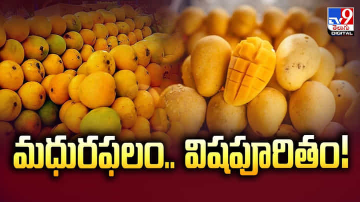 మధురఫలం.. విషపూరితం.. ప్రజల ఆరోగ్యాన్ని పణంగా పెడుతున్న వ్యాపారులు మధురఫలం.. విషపూరితం.. ప్రజల ఆరోగ్యాన్ని పణంగా పెడుతున్న వ్యాపారులు