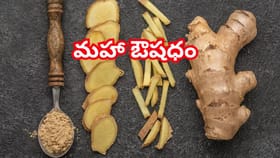 భోజనానికి ముందు చిన్న అల్లం ముక్క తిన్నారంటే అద్దిరిపోయే లాభాలు..