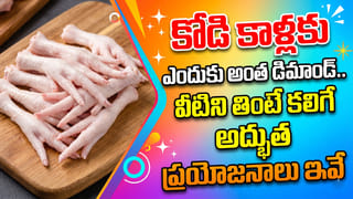 రోహిణి కార్తె రాక ముందే.. రోళ్లు పగిలేంత ఎండలు.. మున్ముందు జరగబోయేది అదేనా?