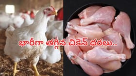 చికెన్‌ లవర్స్‌కు అదిరిపోయే గుడ్‌న్యూస్.. భారీగా తగ్గిన ధరలు