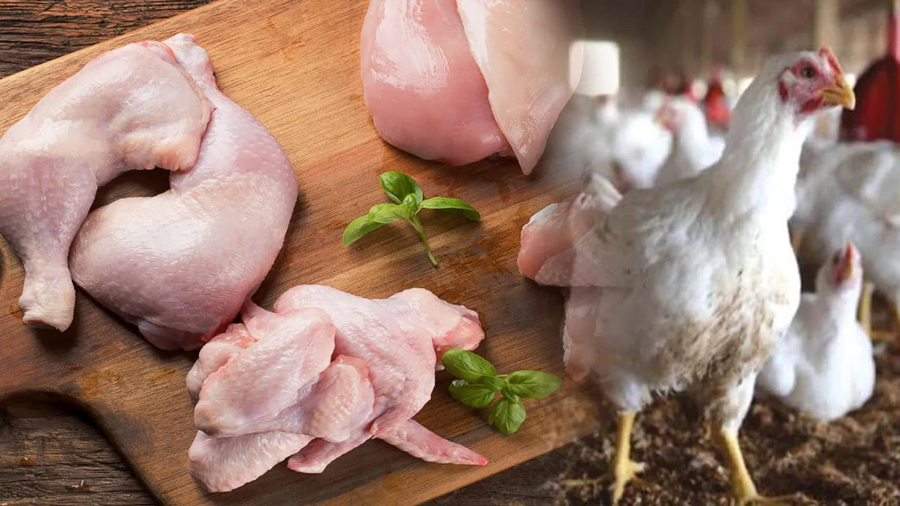Chicken Pricce: ఏపీ, తెలంగాణలో భారీగా పెరిగిన చికెన్ ధరలు.. కేజీ ఎంతో తెలిస్తే షాకే.. కారణాలు ఇవే..
