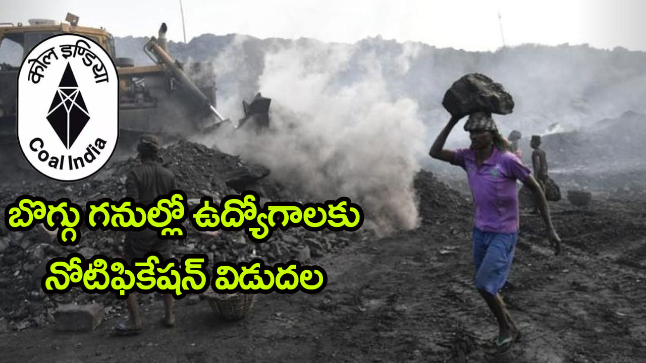 Coal India Jobs 2026: రూ.60 వేల జీతంతో కోల్‌ ఇండియాలో 660 ఉద్యోగాలు.. ఎలా ఎంపిక చేస్తారంటే