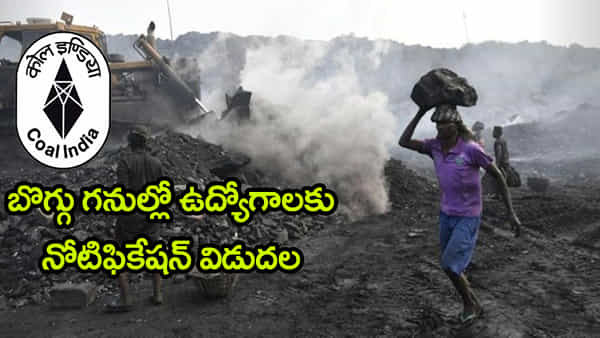 Coal India Jobs 2026: రూ.60 వేల జీతంతో కోల్ ఇండియాలో 660 ఉద్యోగాలు.. ఎలా ఎంపిక చేస్తారంటే