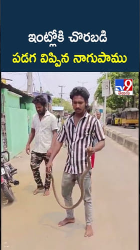 Snake Video: ఇంట్లోకి చొరబడిన నాగుపాము రిస్క్యూ