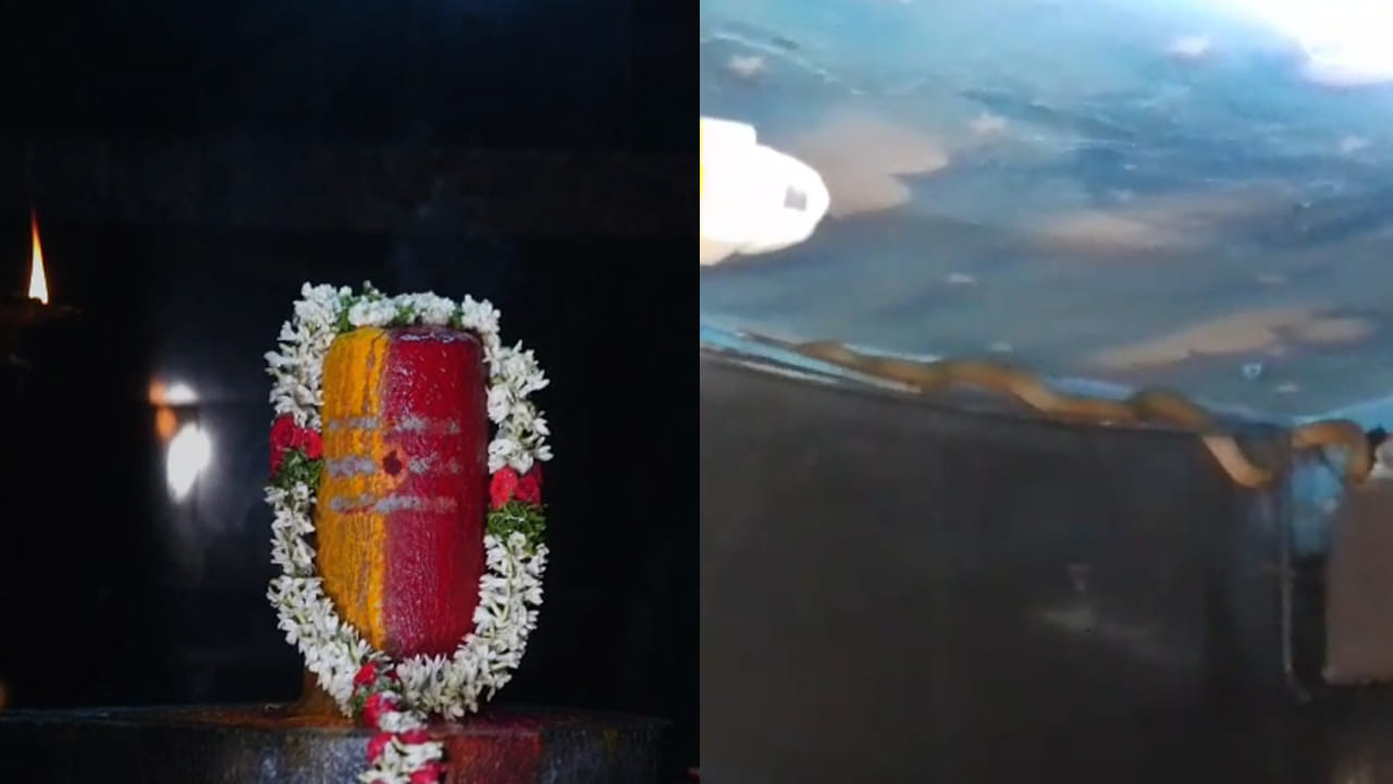 Video: అద్భుతం.. శివాలయం తలుపులు తెరవగానే కనిపించిన సీన్ చూసి ఆశ్చర్యపోయిన అర్చకులు.. వీడియో మీరూ చూడండి..