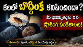 కలలో బొద్దింక కనిపించిందా? స్వప్న శాస్త్రం చెప్పే షాకింగ్ సంకేతం