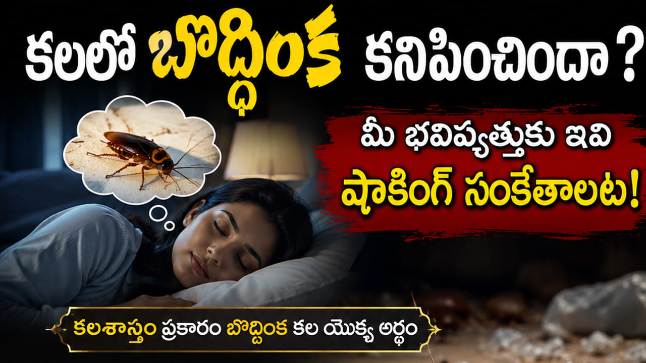 Cockroach Dream Meaning: కలలో బొద్దింక కనిపిస్తే శుభమా? అశుభమా? స్వప్న శాస్త్రం చెప్పే షాకింగ్ సంకేతాలు ఇవే!