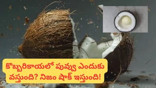 దేవతలు నిర్మించిన ఆలయం.. ఒక్క దర్శనంతో కోరికలు తీర్చే సౌమ్యనాథస్వామి!