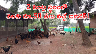 EPFO PF Withdraw: ఇకపై ఏటీఎం ద్వారా పీఎఫ్ నగదు విత్ డ్రా.. యూపీఐ సేవలు కూడా షురూ!