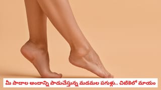 సీలింగ్ ఫ్యాన్ గాలి రావడం లేదా..? మెకానిక్‌ ఖర్చు లేకుండానే స్పీడ్ పెంచే సూపర్‌ ట్రిక్స్ ఇవే!