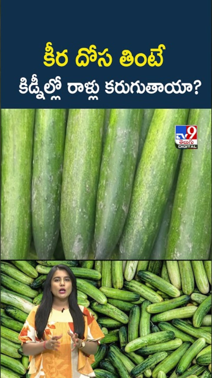 Cucumber Benefits: కీర దోస తింటే అద్భుత ఆరోగ్య ప్రయోజనాలు