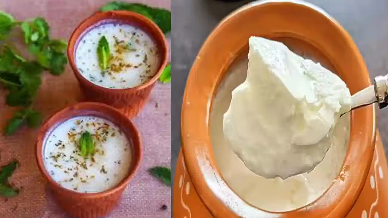 ఆయుర్వేద నియమాలు: ఆయుర్వేద శాస్త్రం ప్రకారం.. మధ్యాహ్న భోజనంతో పాటు మజ్జిగ తాగడం అమృతంతో సమానం. ఇది శరీరంలోని దోషాలను సమతుల్యం చేస్తుంది. అయితే రాత్రిపూట పెరుగును తీసుకోవడం ఏమాత్రం మంచిది కాదు. రాత్రి పూట పెరుగు తింటే అది శరీరంలో కఫాన్ని పెంచుతుంది. దీనివల్ల జలుబు లేదా శ్వాసకోశ సమస్యలు వచ్చే ప్రమాదం ఉంది. కాబట్టి మీకు చల్లగా, తేలికగా ఉండే కడుపు కావాలంటే మజ్జిగను, పోషకాల కోసం అయితే పగటిపూట పెరుగును ఎంచుకోండి.