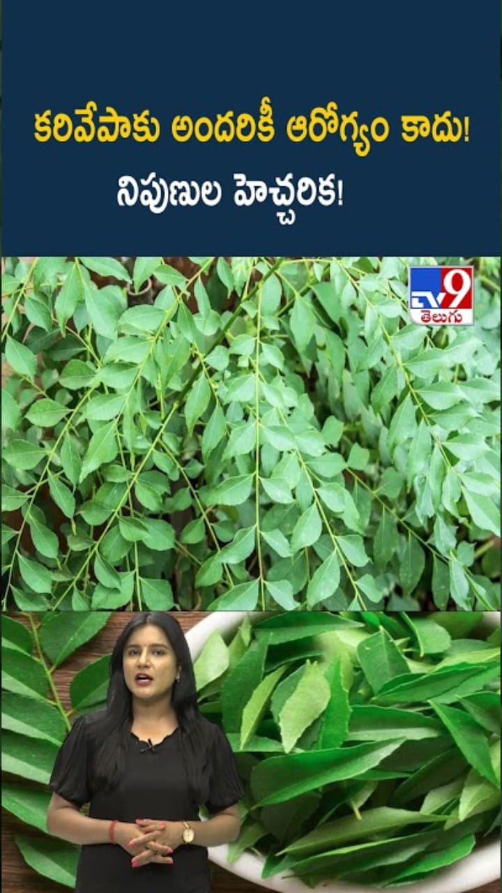 కరివేపాకు అందరి ఆరోగ్యానికీ మంచిదికాదు.. నిపుణుల హెచ్చరిక!