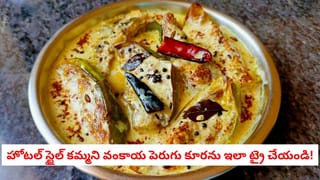 మామిడిపండ్లతో ఒక్కసారి ఇలా చేయండి.. పిల్లలు రోజూ కావాలని మారం చేస్తారు చూడండి..