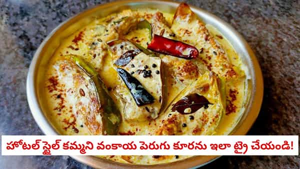 Dahi Baingan Recipe: వంకాయ, పెరుగు కలిపి ఎప్పుడైనా కూర వండారా? ఒక్కసారి రుచి చూస్తే జీవితంలో వదిలిపెట్టరు!