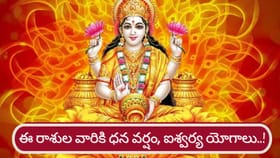 శుక్రుడి అనుకూలత.. వారికి ధన యోగాలు, సిరిసంపదలు..!