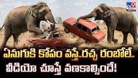 ఏనుగుకి కోపం వస్తే..రచ్చ రంబోలే.. వీడియో చూస్తే వణకాల్సిందే!