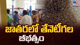 జాతరలో తేనెటీగల బీభత్సం