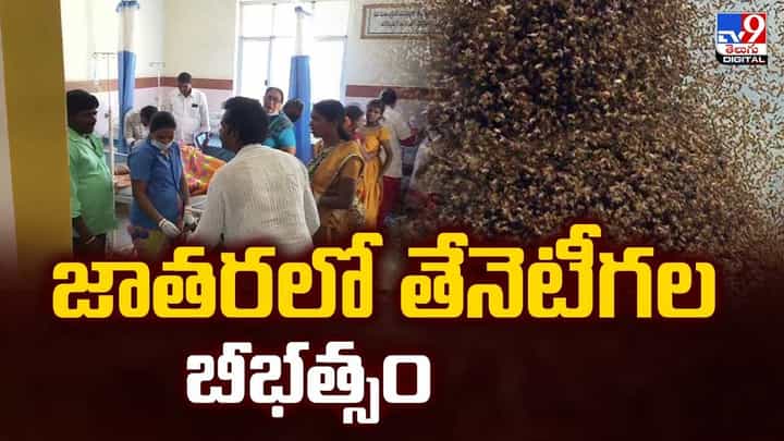 జాతరలో తేనెటీగల బీభత్సం జాతరలో తేనెటీగల బీభత్సం