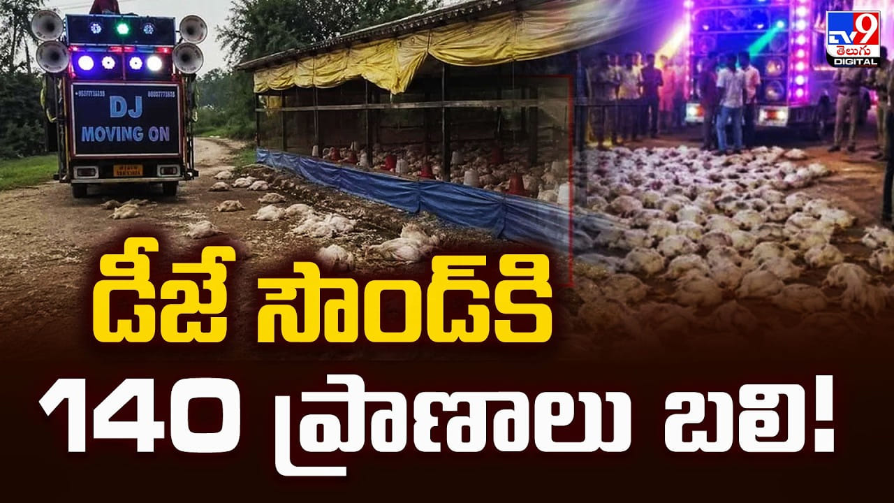 పెళ్లి ఊరేగింపు డీజే హోరు.. సౌండ్‌కి 140 ప్రాణాలు బలి
