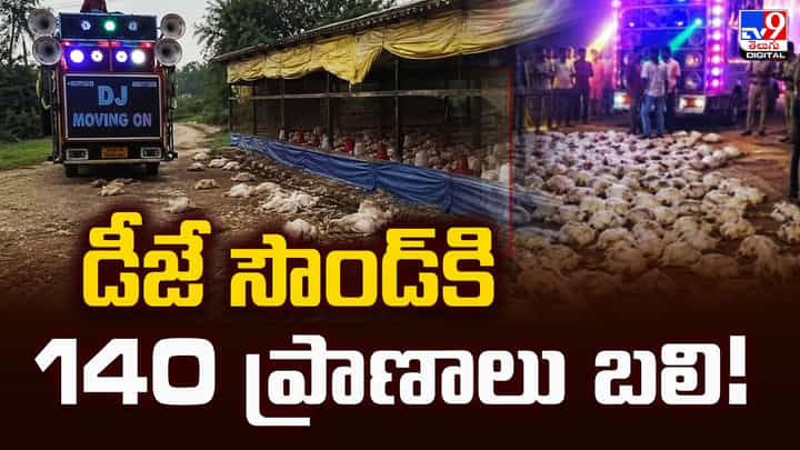 పెళ్లి ఊరేగింపు డీజే హోరు.. సౌండ్కి 140 ప్రాణాలు బలి పెళ్లి ఊరేగింపు డీజే హోరు.. సౌండ్కి 140 ప్రాణాలు బలి