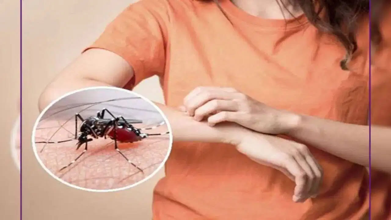 Does Garlic Repel Mosquitoes