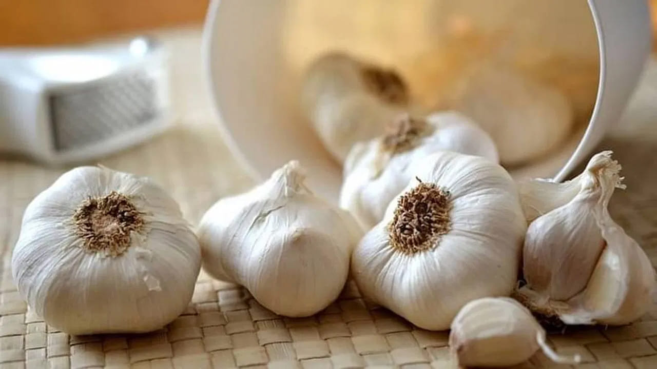 Does Garlic Repel Mosquitoes