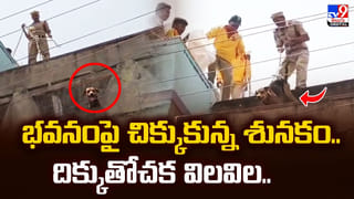 ఉక్కపోతతో ఇళ్లలోకి నాగుల ఎంట్రీ.. నంద్యాలలో భారీ కోబ్రా కలకలం