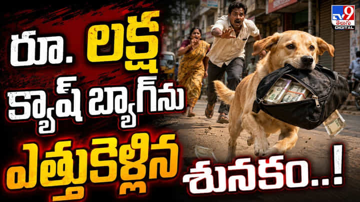 రూ. లక్ష క్యాష్ బ్యాగ్ను ఎత్తుకెళ్లిన శునకం..! రూ. లక్ష క్యాష్ బ్యాగ్ను ఎత్తుకెళ్లిన శునకం..!