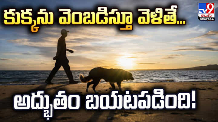 కుక్కను వెంబడిస్తూ వెళితే.. బయటపడిన 18 వేల ఏళ్ల రహస్య ప్రపంచం కుక్కను వెంబడిస్తూ వెళితే.. బయటపడిన 18 వేల ఏళ్ల రహస్య ప్రపంచం