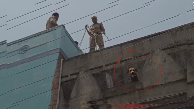 వార్నీ శునకం..అక్కడికి ఎలా వెళ్లిందో?రంగంలోకి దిగిన ఫైర్ సిబ్బంది